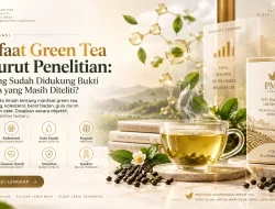 Manfaat Green Tea Menurut Penelitian: Mana yang Sudah Didukung Bukti dan Mana yang Masih Diteliti?
